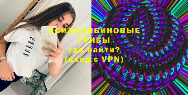 прущие грибы Иннополис