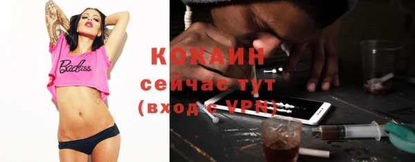 прущие грибы Иннополис