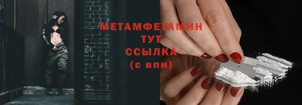 прущие грибы Иннополис
