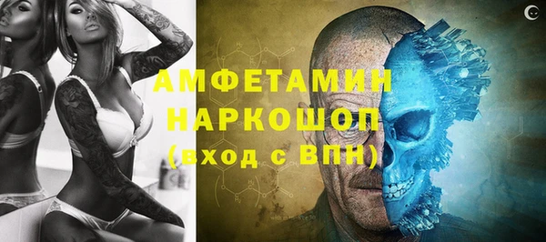 прущие грибы Иннополис