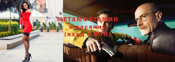 прущие грибы Иннополис