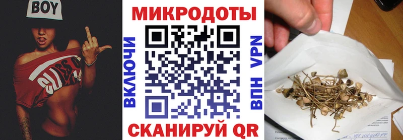 Купить  Люберцы  Псилоцибиновые грибы GOLDEN TEACHER 